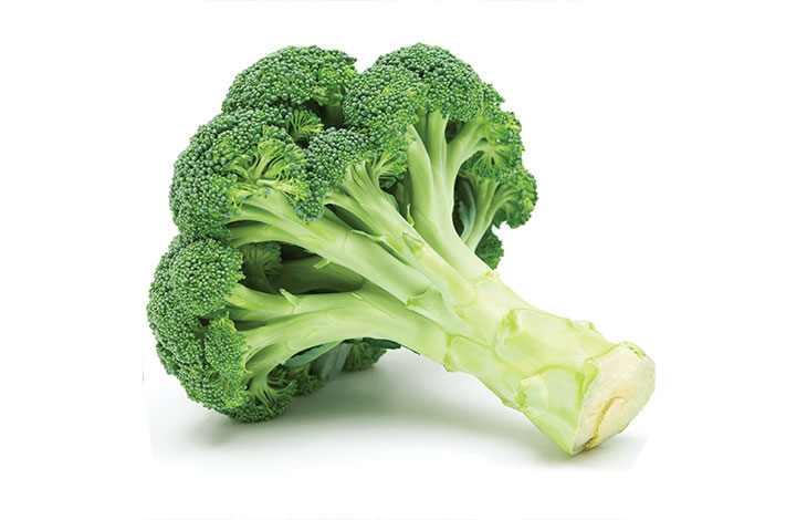 Broccoli-TOP 10 HEALTHY FOODS