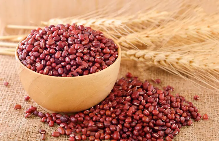 Beans, kidney, California red, Mature Seeds: TOP 10 HEALTHY FOODS FOR WOMEN