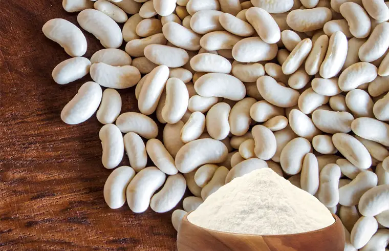 Beans, White, Mature Seeds: TOP 10 HEALTHY FOODS FOR WOMEN