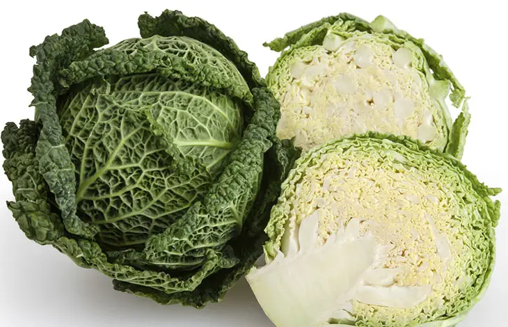 Green Cabbage: TOP 10 ANTI AGING VEGETABLES