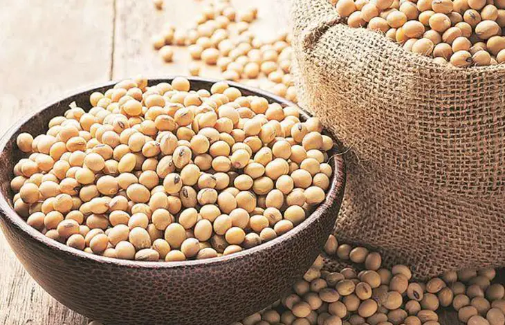 Soybeans TOP 10 ANTI AGING VEGETABLES