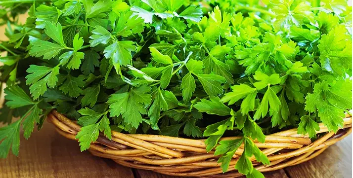 Parsley: TOP 10 ANTI AGING VEGETABLES