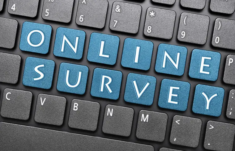 Online Surveys: How to Earn Money Online?