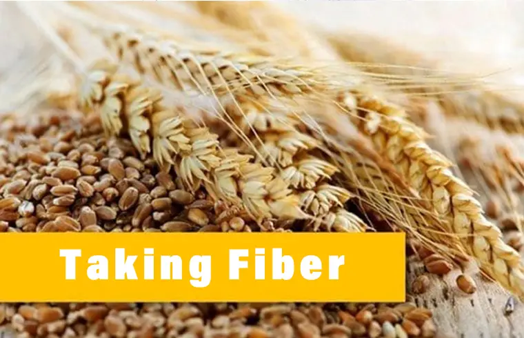 Taking Fibers: How to Reduce Weight