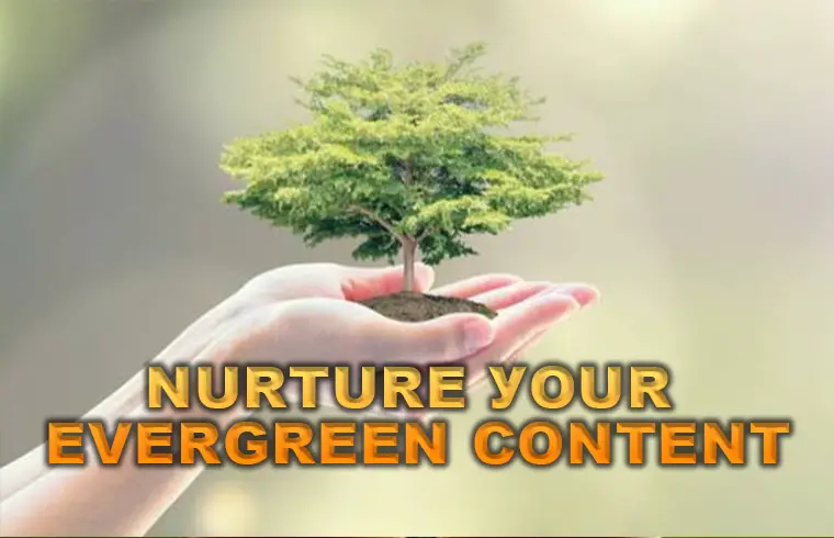 Nurture your evergreen content 