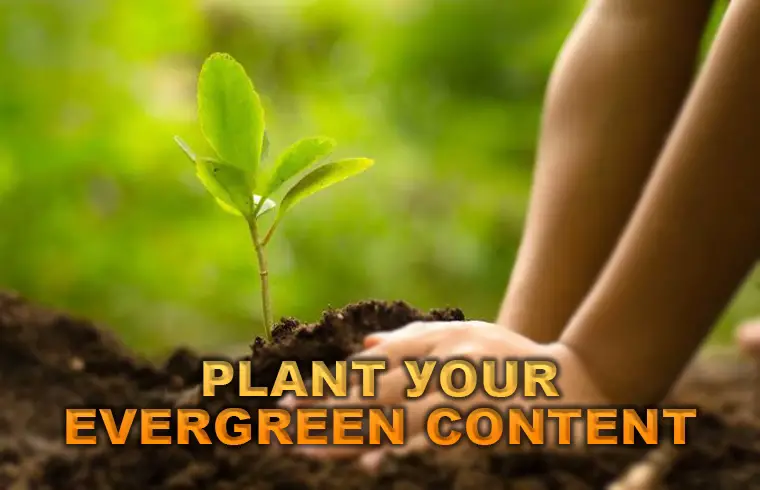 Plant your evergreen content