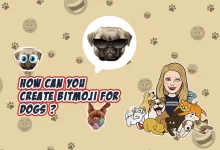 Photo of How can you create Bitmoji for dogs ?