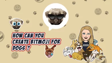 Photo of How can you create Bitmoji for dogs ?