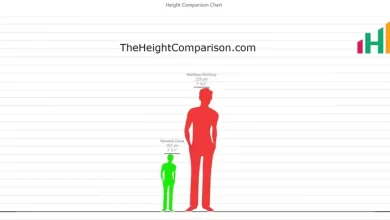 Photo of Height Comparison Chart – Compare Heights Like Never Before