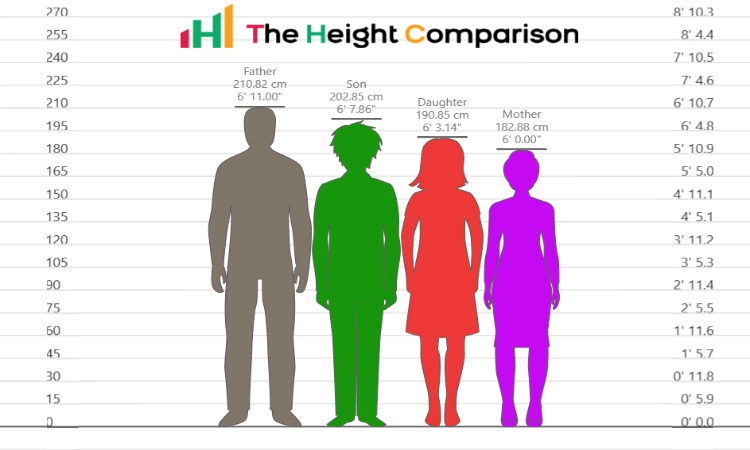 Height Comparison Calculator Hikaku Sitatter NUUWI Height Comparison Calculator Hikaku Sitatter NUUWI